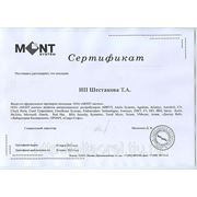 Сертификат партнера МОНТ систем