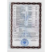 Приложение к Лицензии, серия 59Л01 № 0000027 от 30.10.2012 г.,  на право ведения образовательной деятельности