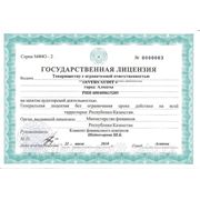 Лицензия на аудиторскую деятельность (рус)