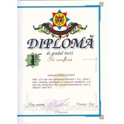 Диплом за I место в республиканском конкурсе "Малый и большой бизнес Молдовы" в номинации "Лучший производитель-инноватор" в 2011 году
