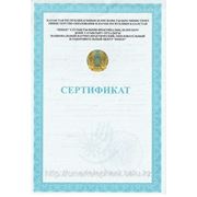 Сертификат по курсу "Самопознание" в Бобеке, 2012 год