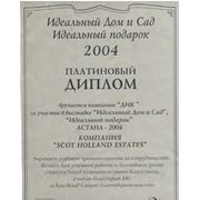 diploma2004.jpg