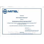 Сертификат авторизованного партнера Mitel