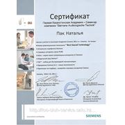 сертификат Сименс мастер-класс.
