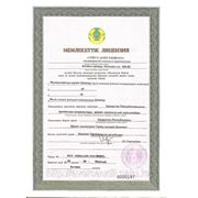 Лицензия на оценочную деятельность (каз)
