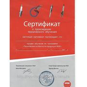 Сертификат о прохождении курсов по свечам NJK