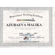 Сертификат Супервайзера по лицензинной программе обучения английскому языку School of Tomorrow