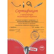 Сертификат NGK