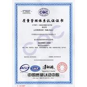 Международный сертификат ISO 9001-2000