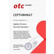 Новый сертификат ОТС-Тендер (переаттестация) на право осуществления преподавательской деятельности
