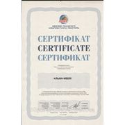 Сертификат подтверждающий участие фабрики мебели «Альфа» в международной выставке «Мебельные технологии, комплектующие, текстиль 2008»