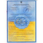 lida_sertifikat_ukrainy.jpg