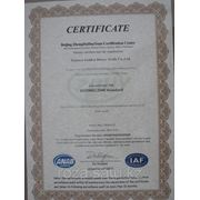 Международный сертификат на постельное белье компании Shining Star
