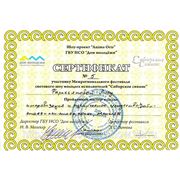 Сертификат о пройденных мастер классах в Новосибирске