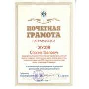 Почетная грамота от губернатора Новосибирской области