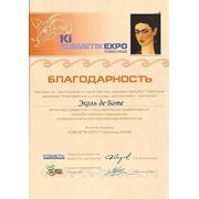 2009 год