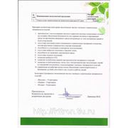 Экологический "Зеленый сертификат" на продукцию КТ ТРОН, стр.2