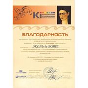 2010 год