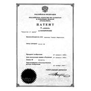 Патент № 2095079.  Зарегистрирован 10 ноября 1997 года.