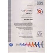 АО МИТАС: Сертификат ИСО 14001:2004