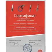 Сертификат о прохождении курсов по свечам  Njk