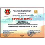 Диплом «100 лучших товаров России» 2011
