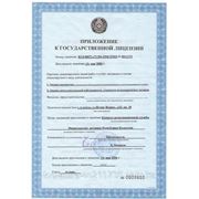 Приложение к государственной лицензии