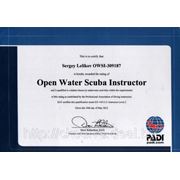 Сертификат инструктора открытой воды. Действующий статус инструктора проверяется на сайте PADI по ссылке   http://www.padi.com/mypadi/pros/online-services/pro-chek/default.aspx