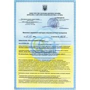 Сертификат Кордицепс Шенюань