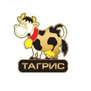 Логотип компании ТД ТАГРИС (Москва)