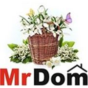 Логотип компании ООО “Мистер Дом“ (Москва)