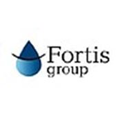 Логотип компании ООО “Фортис груп“ (Екатеринбург)
