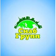 Логотип компании ООО “СнабГрупп“ (Санкт-Петербург)