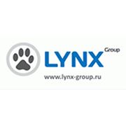 Логотип компании ADEX-Пермь (Lynx Group, LLC) (Пермь)