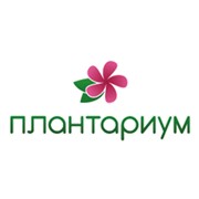 Логотип компании Плантариум, ЧП (Глыбокая)