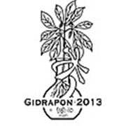 Логотип компании Gidrapon2013 (Тольятти)
