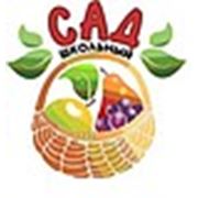 Логотип компании Питомник “Школьный сад“ (Нижний Новгород)