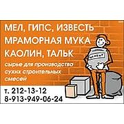 Логотип компании ООО «ДИОНИКС» (Новосибирск)