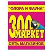 Логотип компании Зоомаркет товары для животных “Флора и Фауна“ (Краснодар)
