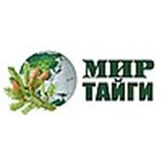 Логотип компании Мир тайги (Красноярск)