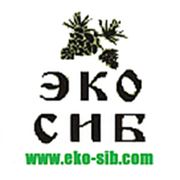 Логотип компании «EKO-SIB» Ltd. (Москва)
