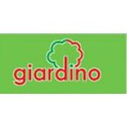 Логотип компании Giardino,SRL (Кишинев)