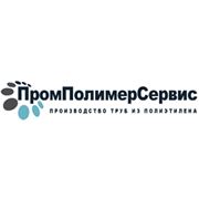 Логотип компании ООО «ПромПолимерСервис» (Казань)