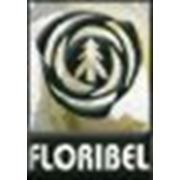 Логотип компании Floribel, SRL (Бельцы)