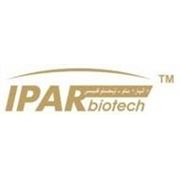 Логотип компании «IPAR Biotechnology Development Inc.» (Москва)
