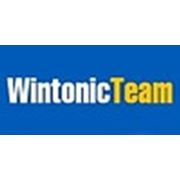 Логотип компании Wintonic Team (Казань)
