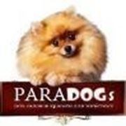Логотип компании PARADOGs сеть зоосалонов - зоомагазинов (Екатеринбург)