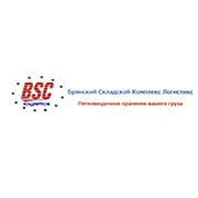 Логотип компании ООО БСК Логистикс (Брянск)