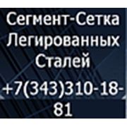 Логотип компании «Сегмент-Сетка Легированных Сталей» Общество с Ограниченной Ответственностью (Екатеринбург)