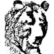 Логотип компании ООО “Медведь-камень“ (Медвежьегорск)